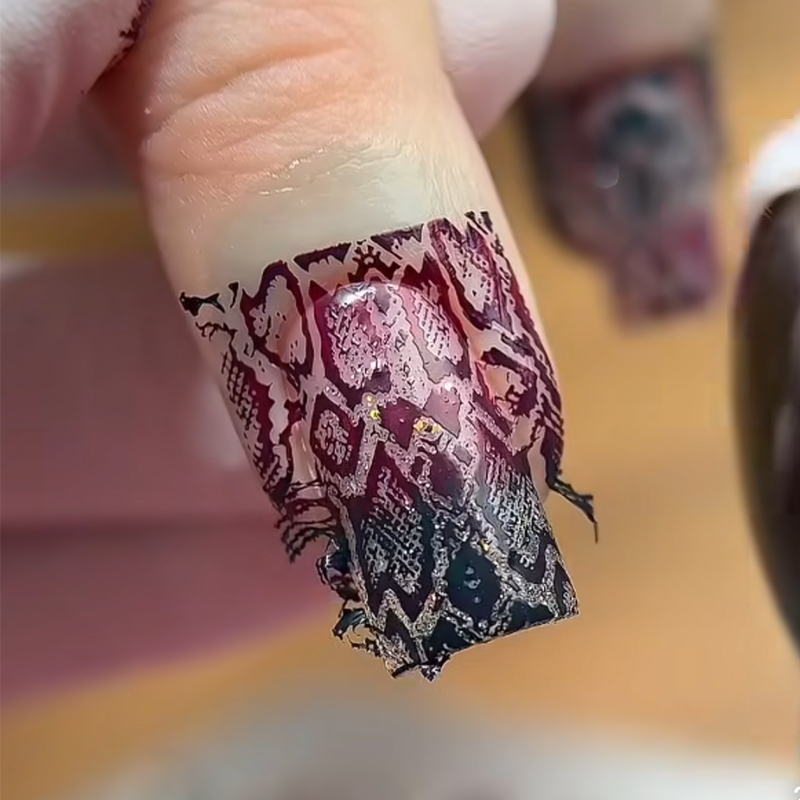 Animal Image Snake Leopard Nai - Nail Art Zebra Design 评论和价格